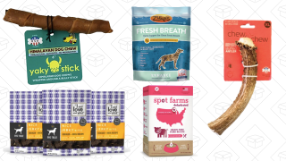 Give Your Good Dog All The Treats They Deserve With This Huge Sale From Jet